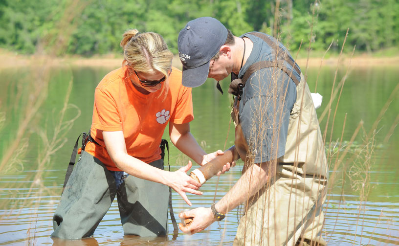 Faculty and student wading in water to perform tests.