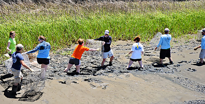 Oyster reef restoration project along SC coast.