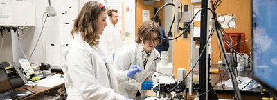 Clemson library database image