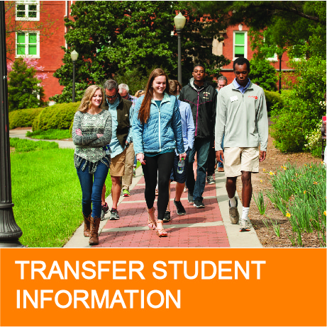 transfer-student-infromation-template.jpg