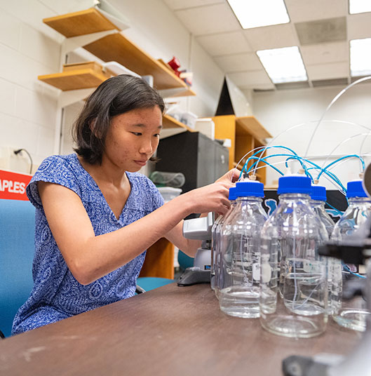 Female student in Fluor Daniel lab.