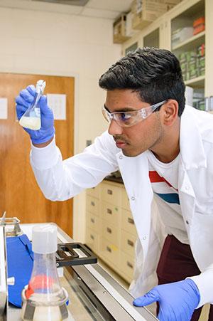 Male student looking at flask whike in Eureka summer program