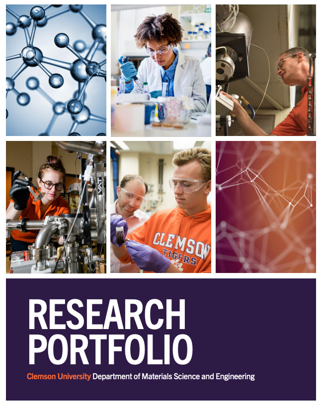 mse research portfolio