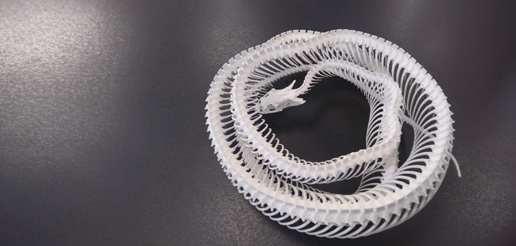 3d printed snake