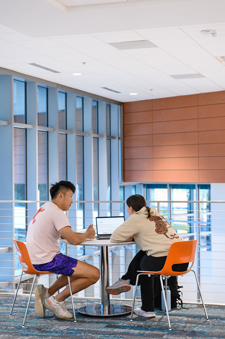 Two students on laptop in Humanities Hall.