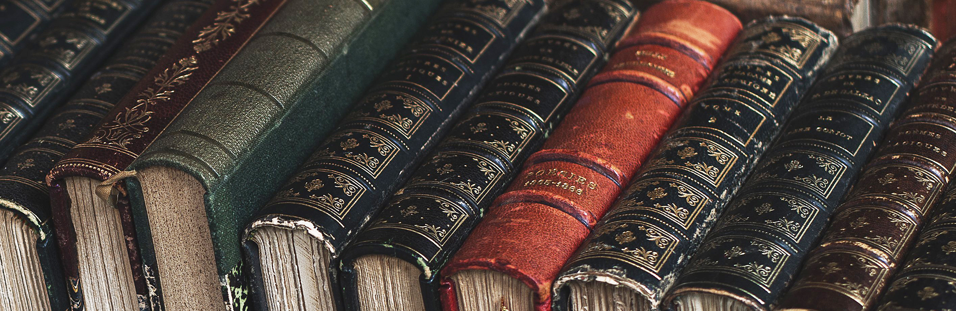 Spines of different books.