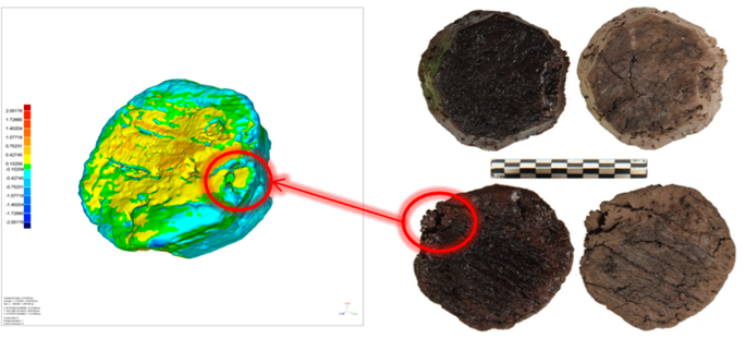 Supercritical CO2 drying