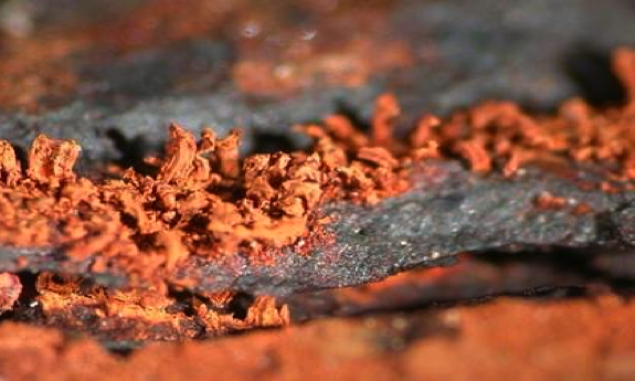 Active Corrosion on Iron