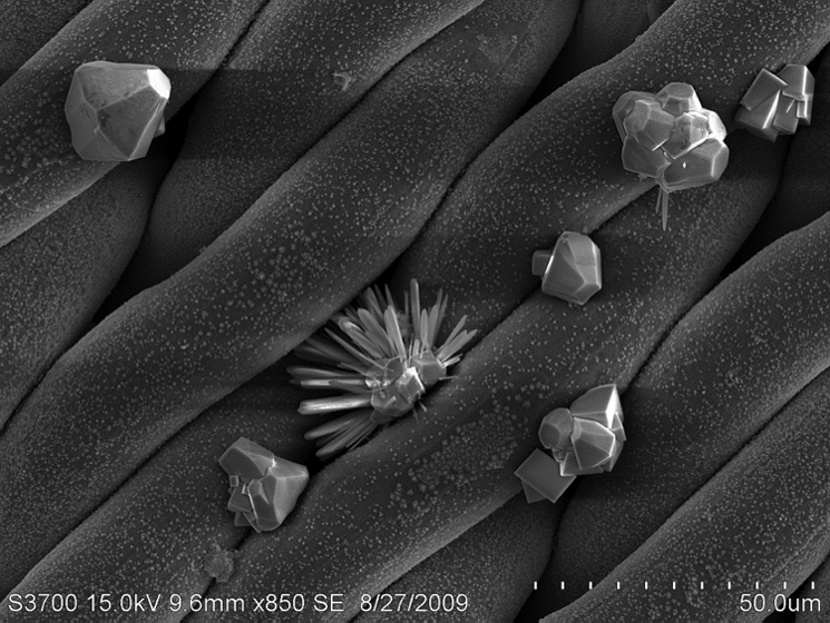 Misleading Thirty Lovely Scanning Electron Microscope - EDS/WDS | Clemson University, South Carolina