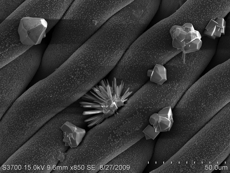 SEM Image 2