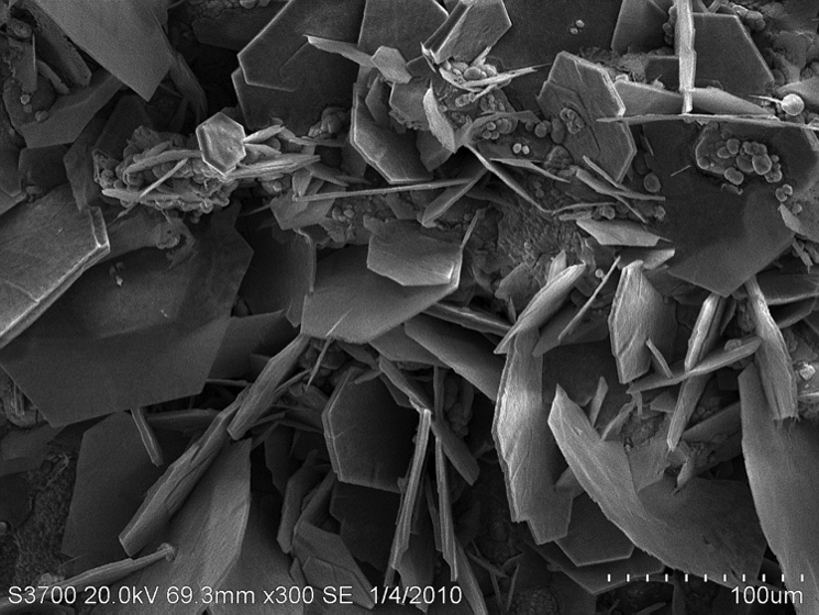 SEM Image 3