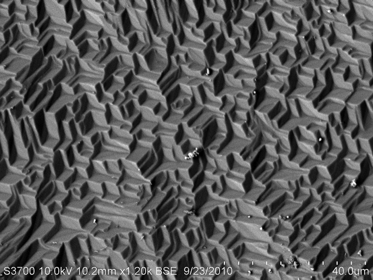 SEM Image 5