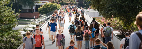 Students on bridge