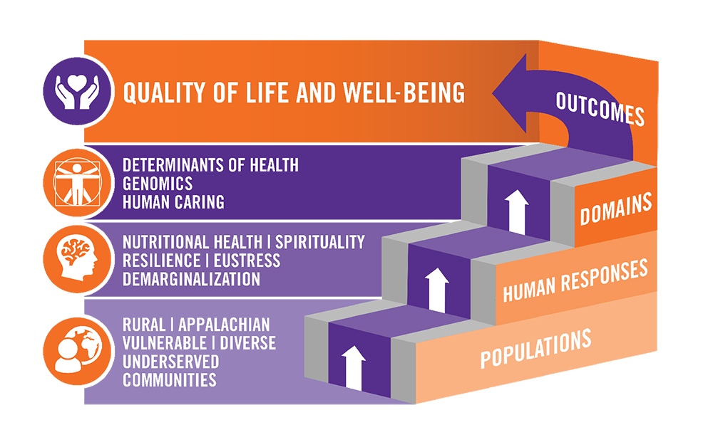 Clemson University School of Nursing Center for Research on Health Disparities