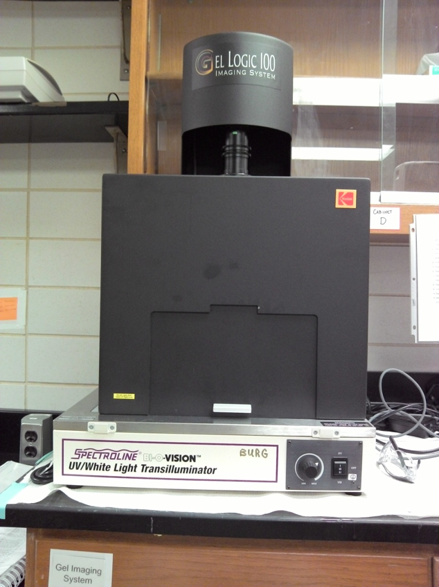Equipment