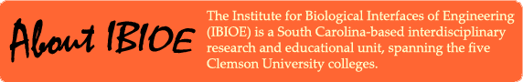 ibioe_spotlight