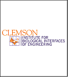 IBIOE logo