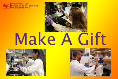  Make a Gift to IBIOE