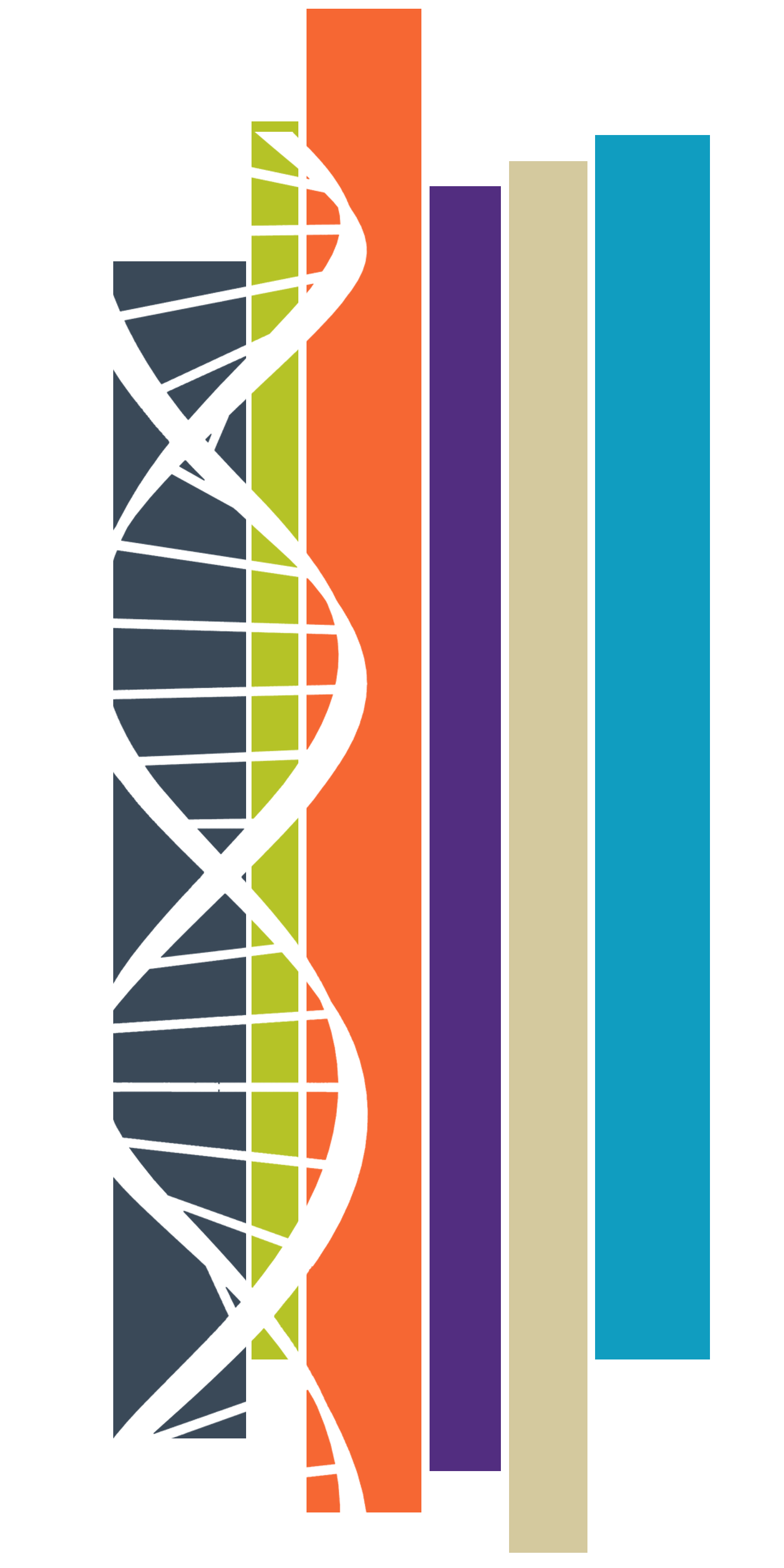 Decorative image of DNA