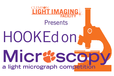 We Are Hosting Our 3rd Annual Micrograph Competition!