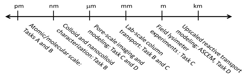 scale