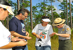 Everglades Research 