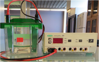 Mini-Protean 3 electrophoresis system, Bio-Rad