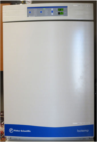 Laboratory CO2 Incubator, Isotemp, Fisher Scientific