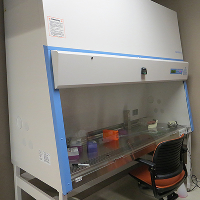Safety Cabinet