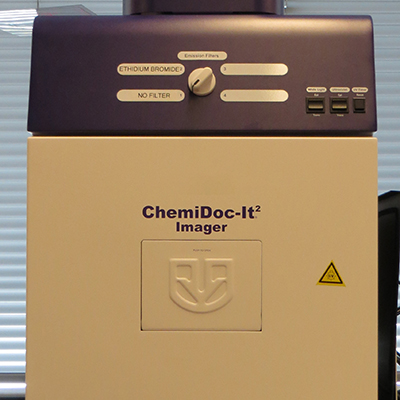 Chemidoc