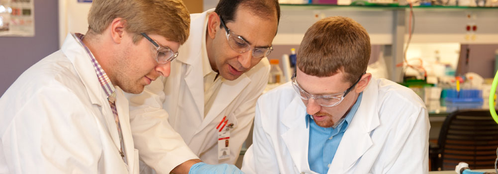 Participants in SC BioCRAFT research at Clemson University, Clemson South Carolina