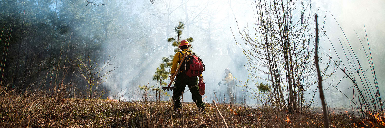 Firefighters in the field with flames and smoke in the air.