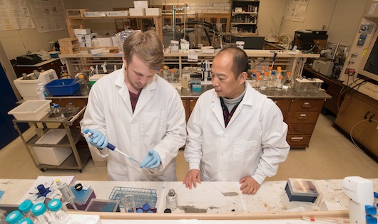Characterization of Aromas and Health Benefiting Chemical of SC Peaches