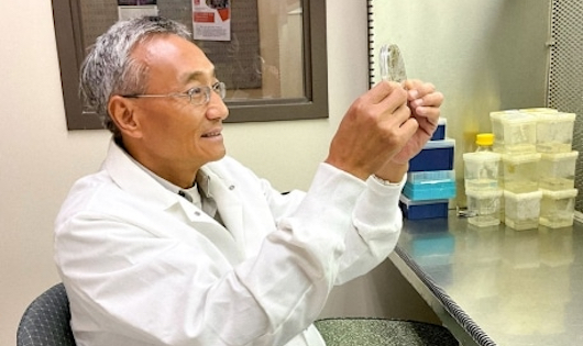 Dr. Hong Luo in his lab.
