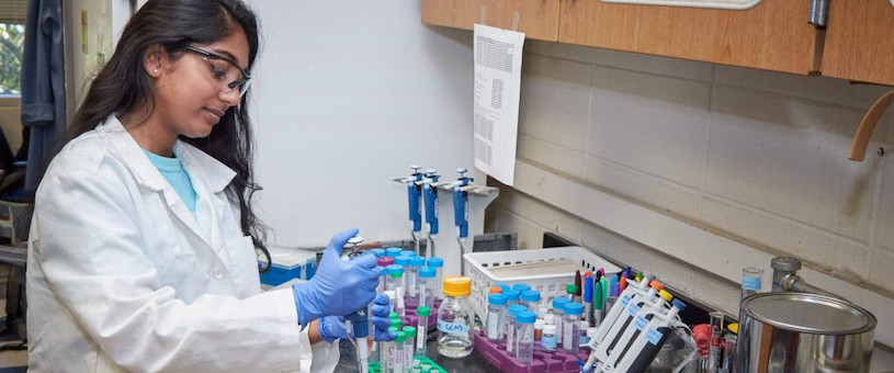 Student Working in a Laboratory