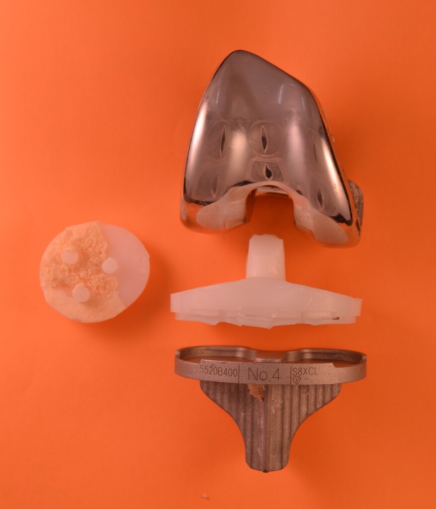orthopedic models