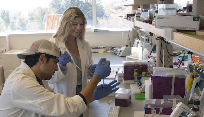 Luke Oligino and Annabelle Harris extract parasites from infected fecal samples