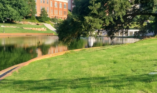 An image of the Clemson reflection pond