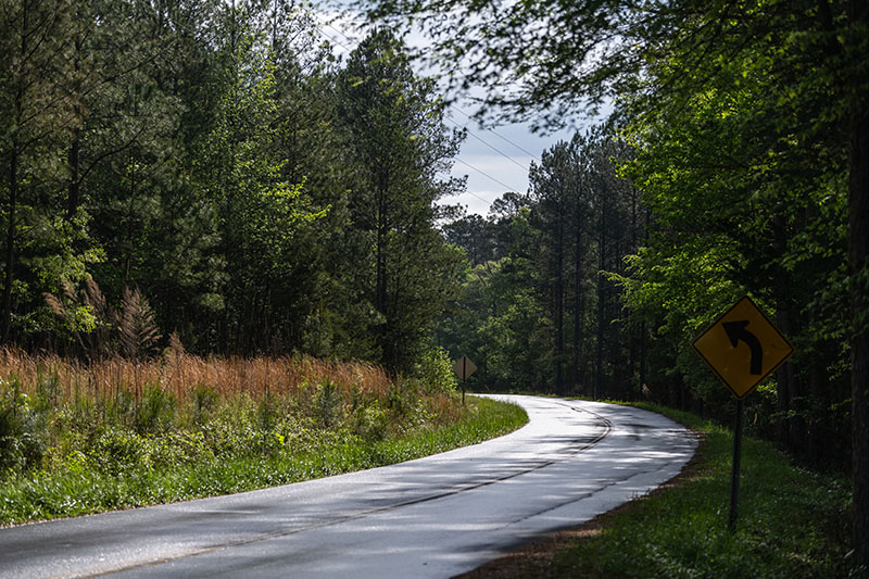 Sunlit rural road curving through a wooded area, with a yellow left-turn warning sign on the right shoulder.