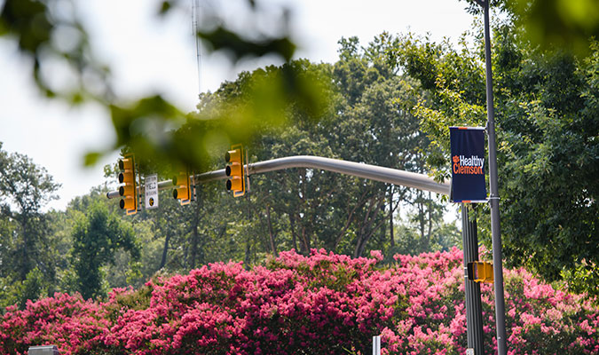 Healthy Clemson Banner on a post beside a red light in Clemson with trees and bushes with bright pink blossoms in the background.