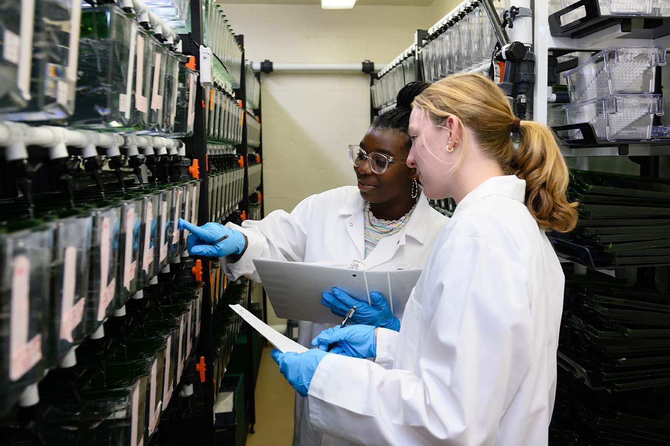 Two Honors students looking at rows of medical samples together. 