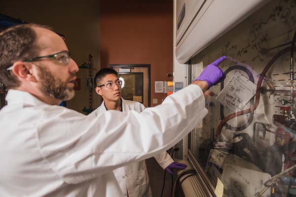 Clemson Honors student and faculty member working in a lab.
