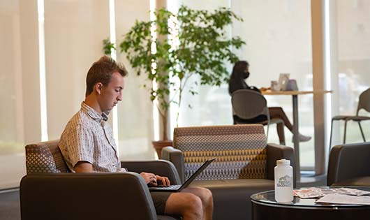 Students studying in the Great Hall