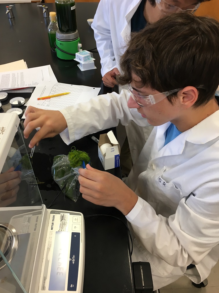 Student working in a lab