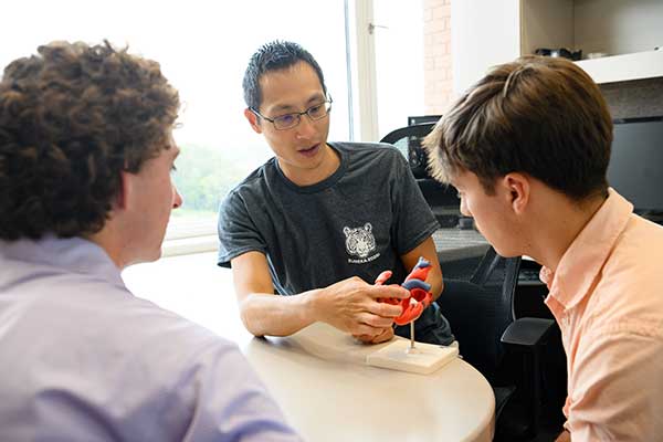A Clemson professor pointing at a model of a heart on his desk and discussing it with two male Honors students. 