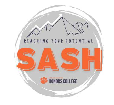 SASH program logo