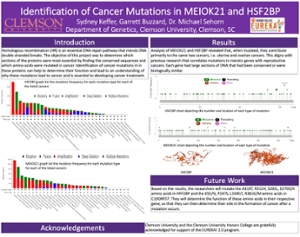 Keffer Research Poster Preview