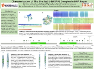 Michaelson Research Poster