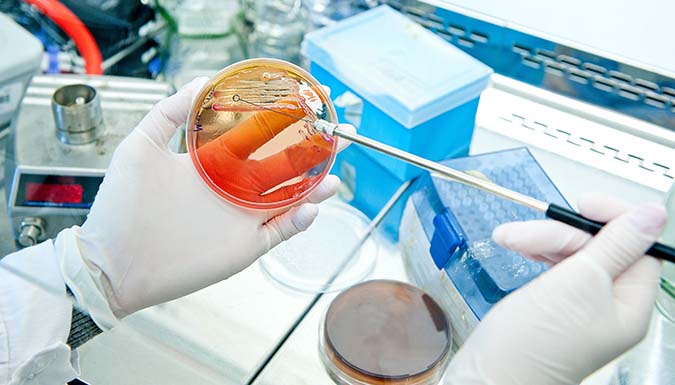 A gloved hand conducting lab work