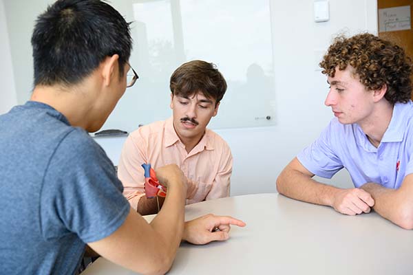 Professor and students studying 3D heart diagram